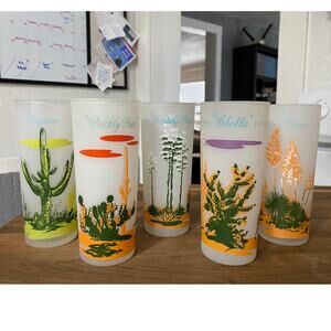 Set of 5 Blakely Oil & Gas 1950s Arizona Cactus Frosted Highball Tumbler Glasses